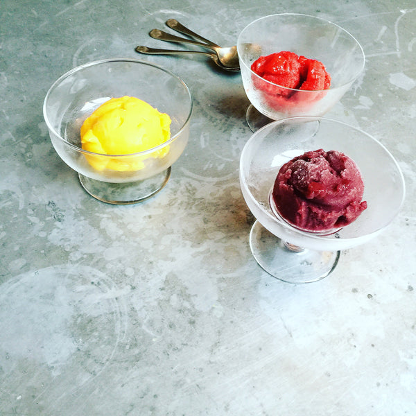 Anise Myrtle Granita | Warndu Australian Native Food